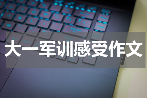大一军训感受作文