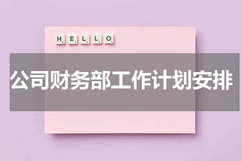 公司财务部工作计划安排