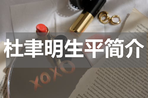 杜聿明生平简介