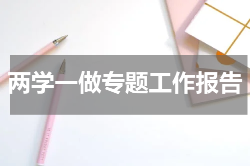 两学一做专题工作报告