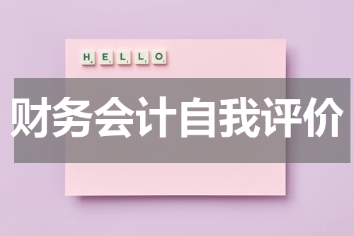 财务会计自我评价