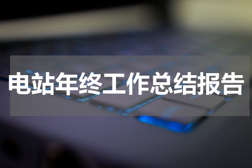 电站年终工作总结报告