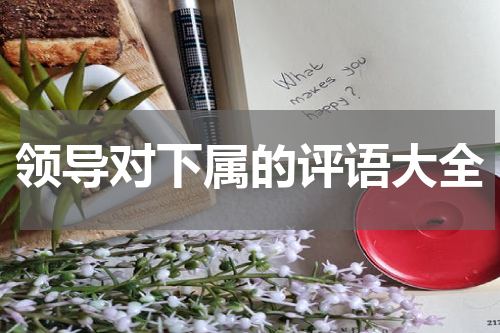 领导对下属的评语大全