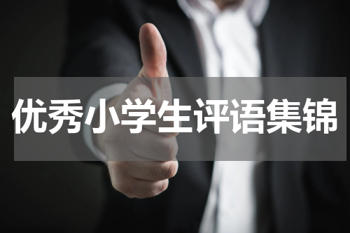 优秀小学生评语集锦