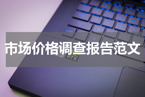 市场价格调查报告范文