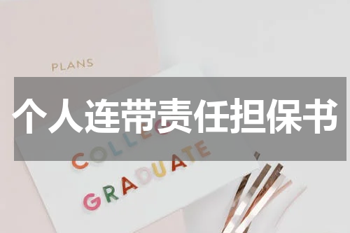 个人连带责任担保书