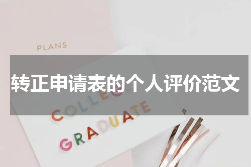 转正申请表的个人评价范文
