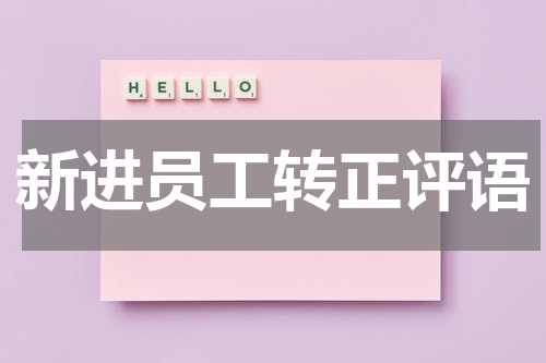 新进员工转正评语