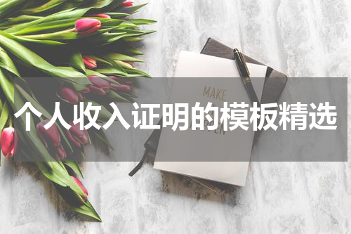 个人收入证明的模板精选