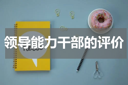 领导能力干部的评价