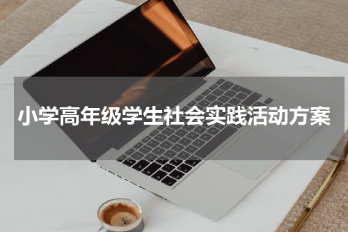 小学高年级学生社会实践活动方案