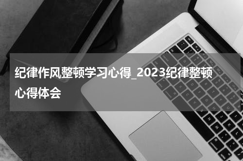 纪律作风整顿学习心得_2023纪律整顿心得体会