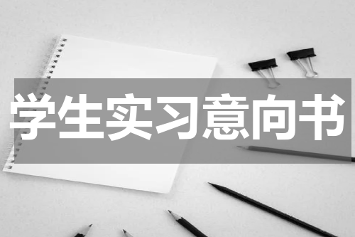 学生实习意向书