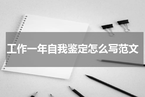 工作一年自我鉴定怎么写范文
