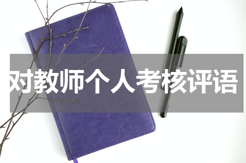 对教师个人考核评语