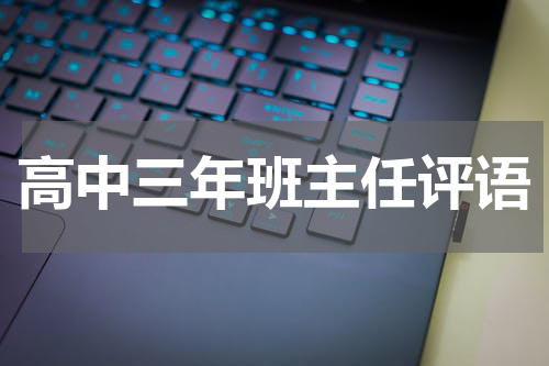 高中三年班主任评语