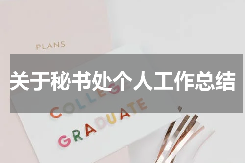 关于秘书处个人工作总结