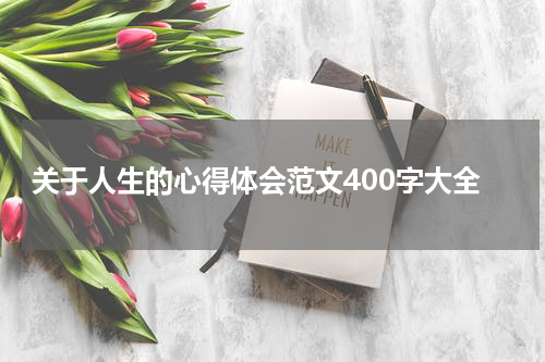关于人生的心得体会范文400字大全