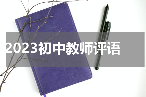 2023初中教师评语