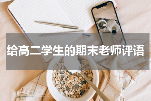 给高二学生的期末老师评语