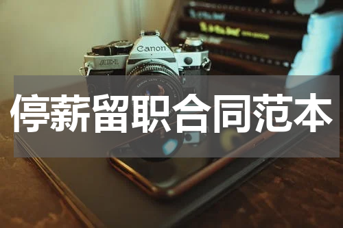 停薪留职合同范本