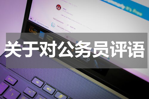 关于对公务员评语