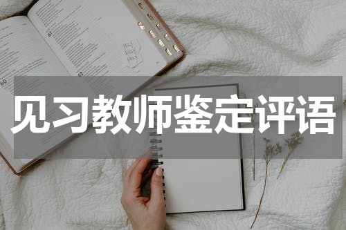 见习教师鉴定评语