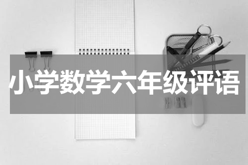 小学数学六年级评语
