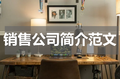销售公司简介范文