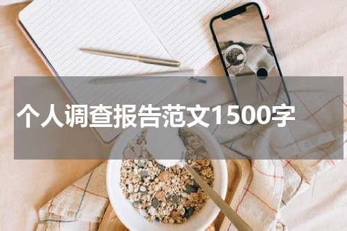 个人调查报告范文1500字