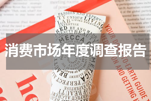 消费市场年度调查报告