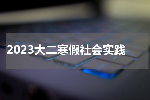 2023大二寒假社会实践