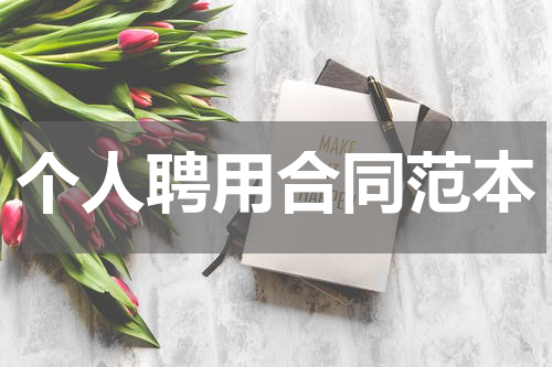 个人聘用合同范本