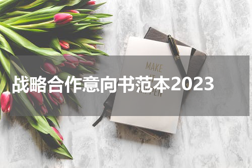 战略合作意向书范本2023
