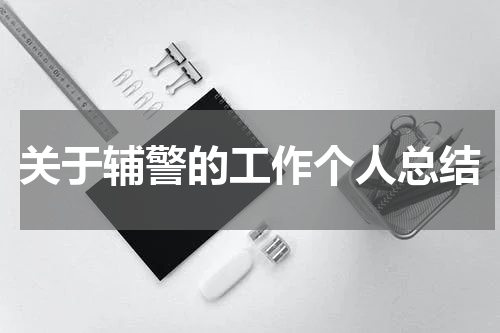 关于辅警的工作个人总结