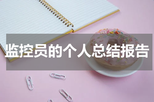 监控员的个人总结报告
