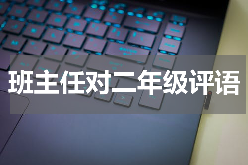 班主任对二年级评语