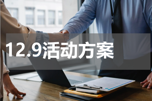 12.9活动方案