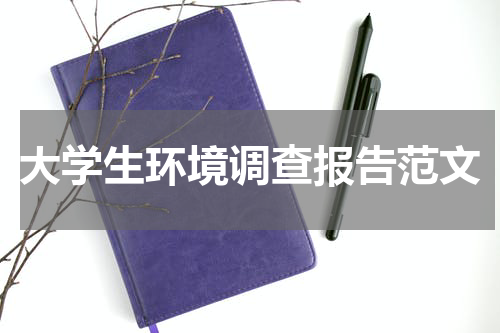 大学生环境调查报告范文