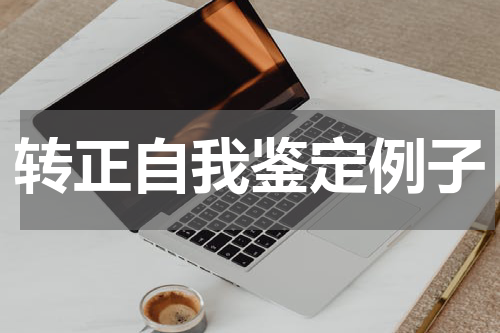 转正自我鉴定例子
