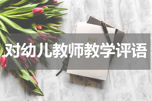 对幼儿教师教学评语