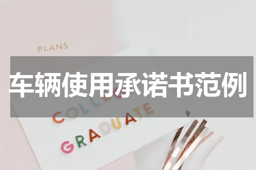 车辆使用承诺书范例