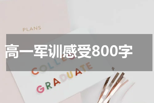 高一军训感受800字