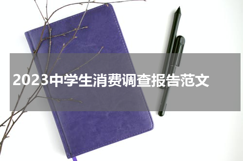 2023中学生消费调查报告范文