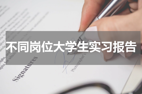 不同岗位大学生实习报告