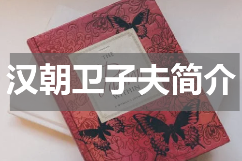 汉朝卫子夫简介