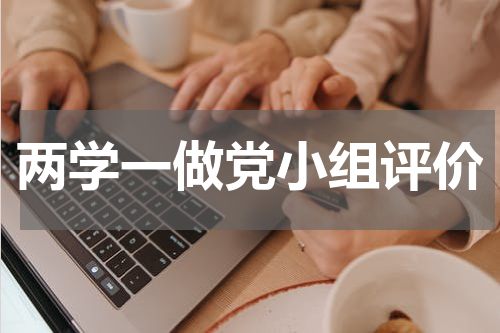 两学一做党小组评价