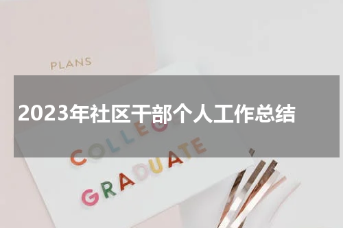 2023年社区干部个人工作总结