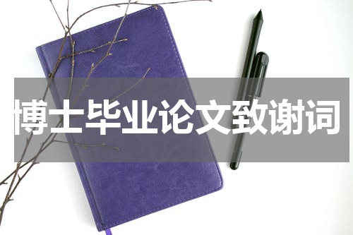 博士毕业论文致谢词