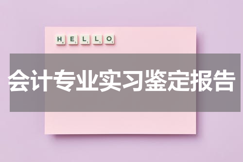会计专业实习鉴定报告